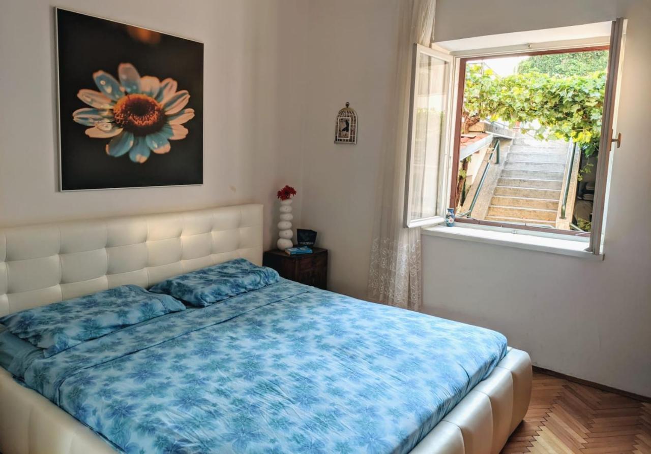 Glorianita Sweethome,Centro, Free Parking,Self Check- In شيبينيك المظهر الخارجي الصورة